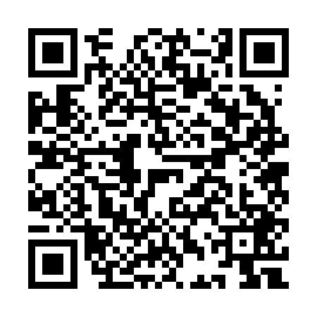 QR code for IDR2493
