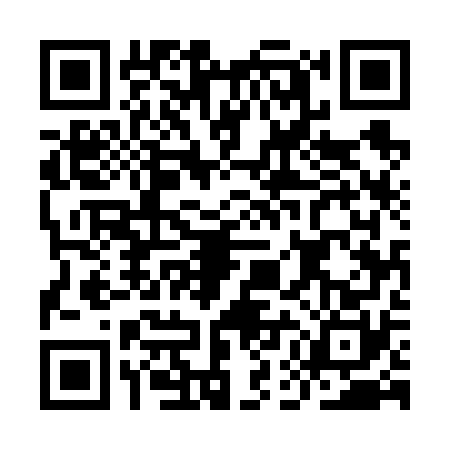 QR code for IEE6703
