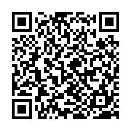 QR code for IIC234
