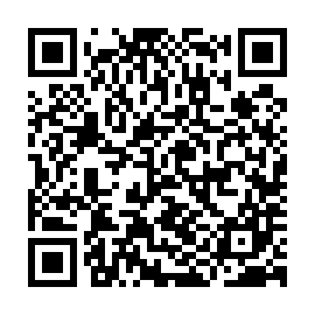 QR code for IIF587
