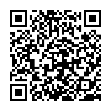 QR code for IIG038