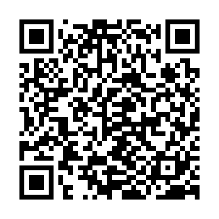 QR code for IIG321