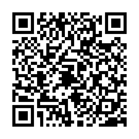 QR code for IIM0595