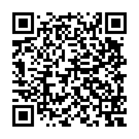 QR code for IIM499