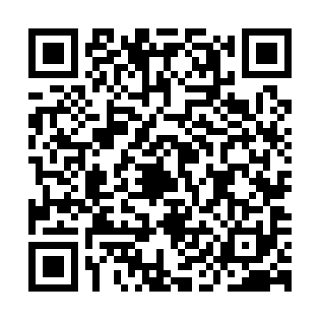 QR code for IIN1918