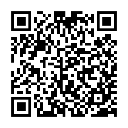 QR code for IIS484