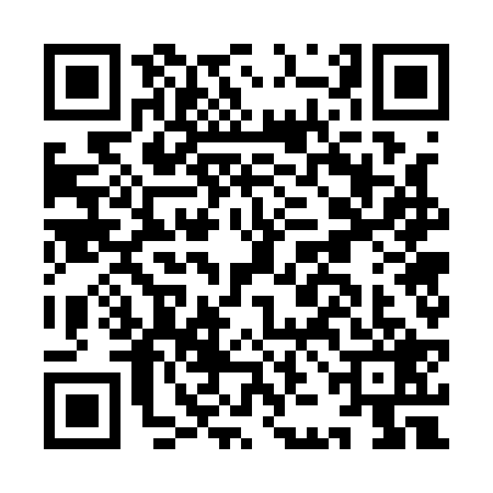QR code for IJG1291