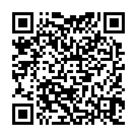 QR code for IJL300