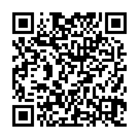QR code for IJP865