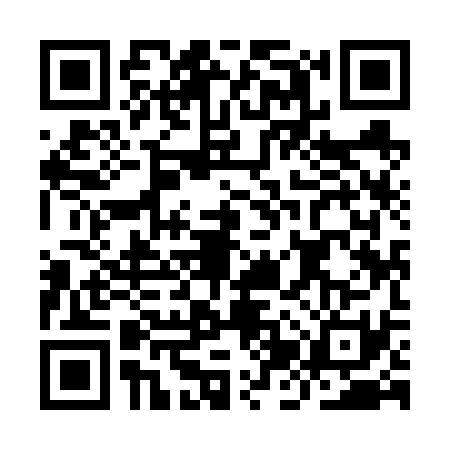 QR code for IJY6311
