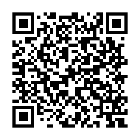QR code for ILY155