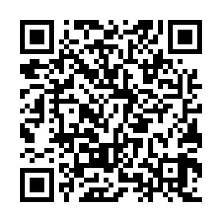 QR code for IMG509