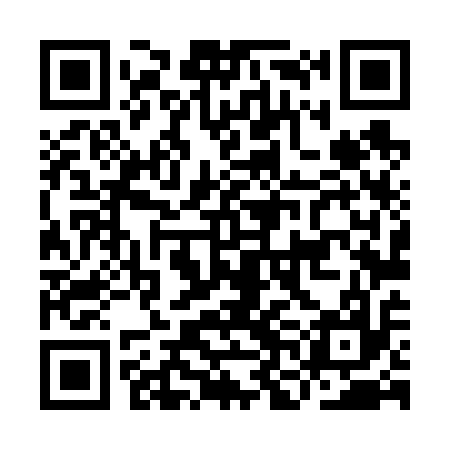 QR code for INL617