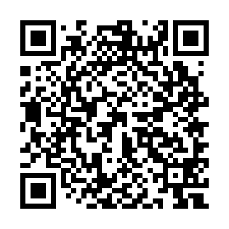 QR code for INU398
