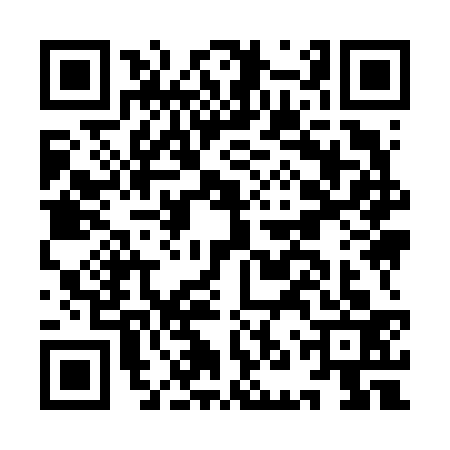 QR code for INY6333