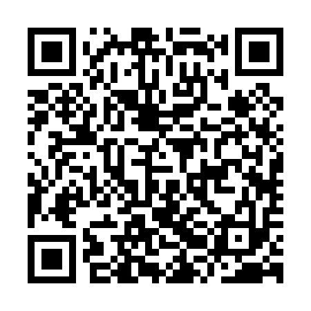 QR code for IRB013