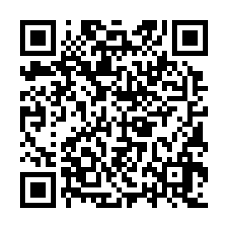 QR code for IRE336
