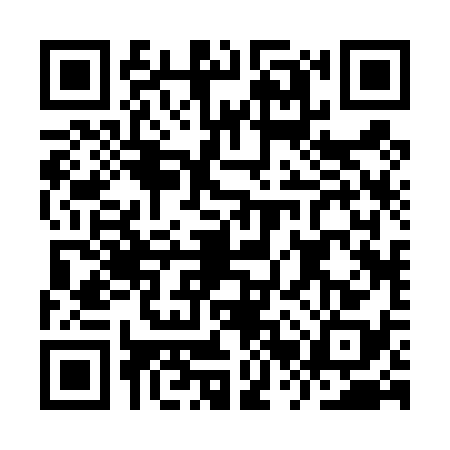 QR code for IRR4381