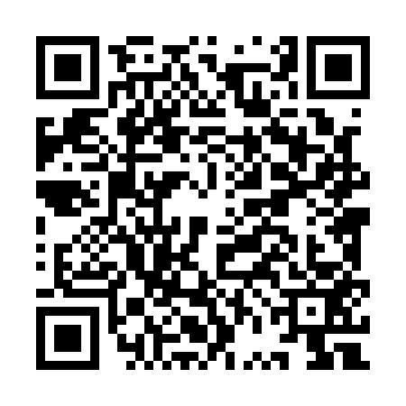 QR code for IVL1533
