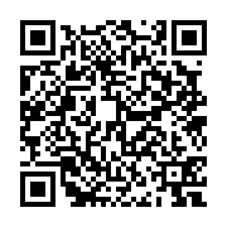 QR code for JNS0313