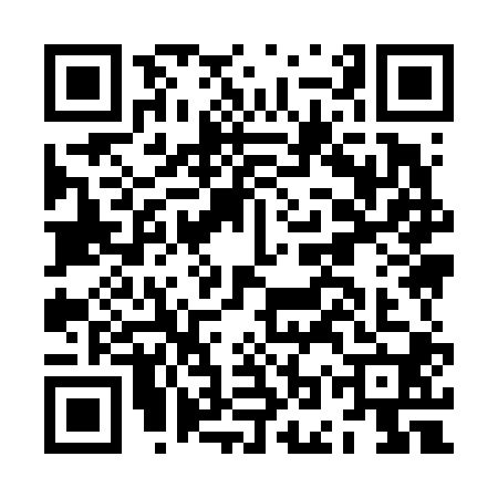 QR code for JOY6007