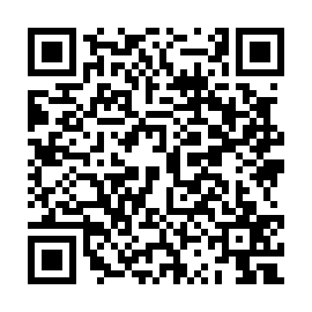 QR code for JSI0379