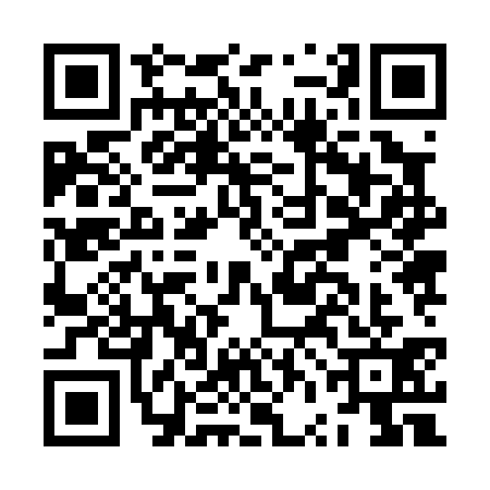 QR code for JVJ0313
