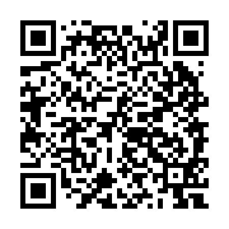 QR code for JYN291