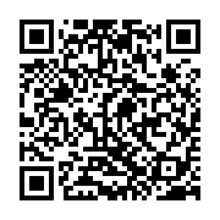 QR code for KZS919