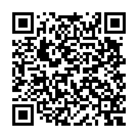 QR code for LAG416