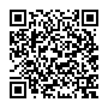 QR code for LAG6316