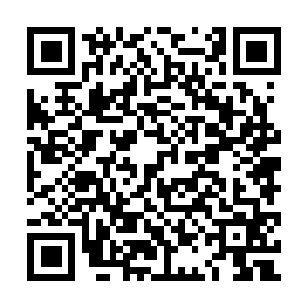 QR code for LAN2641