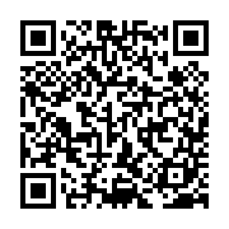 QR code for LAV041