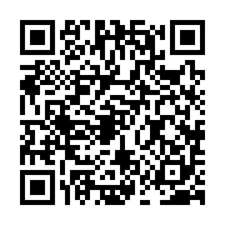 QR code for LAX3905