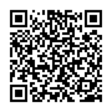 QR code for LAY529