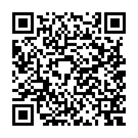 QR code for LBG9528
