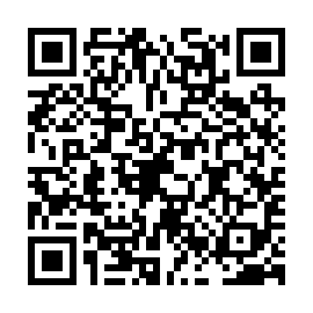 QR code for LBS2994