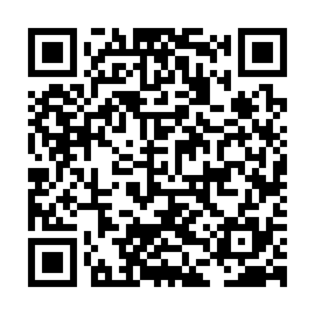 QR code for LDV335
