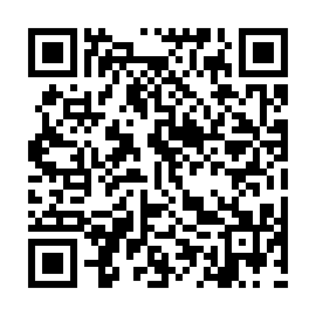 QR code for LEP311