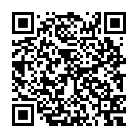 QR code for LHL335