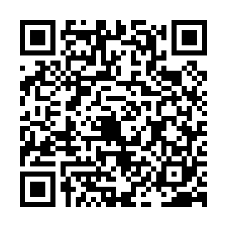 QR code for LIG0607