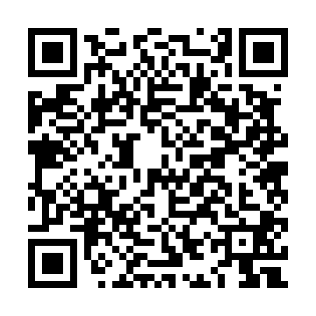 QR code for LIR4009