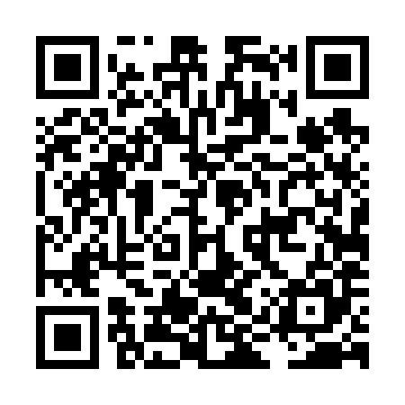 QR code for LIT685