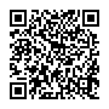 QR code for LLV398