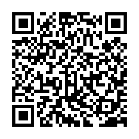 QR code for LLV499