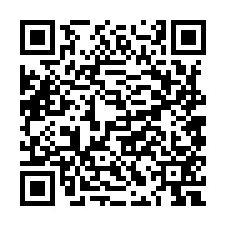 QR code for LLV9533