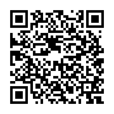 QR code for LMG2009