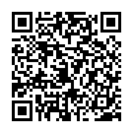 QR code for LMN1734