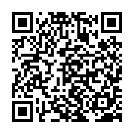 QR code for LON295