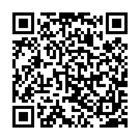 QR code for LPL497